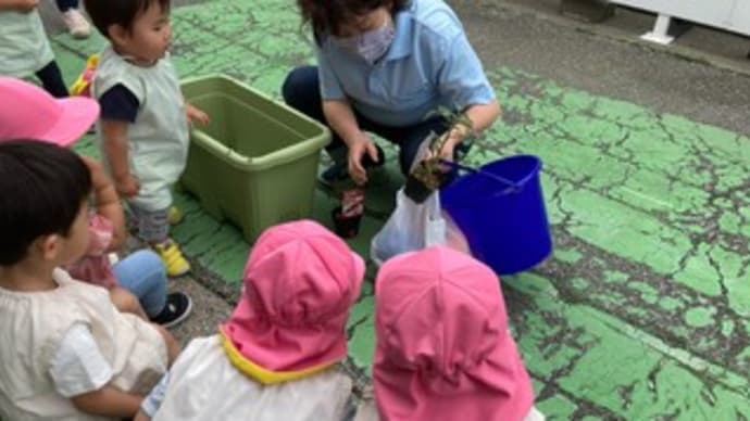 トマト植え