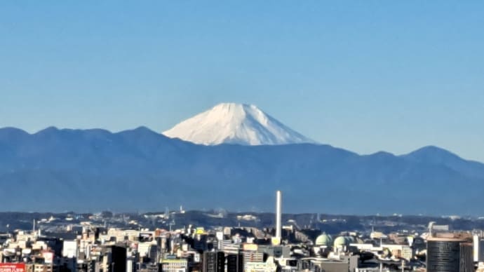 輸入米売り渡し最高値