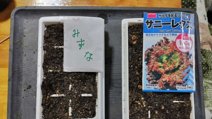 製氷器で発芽を