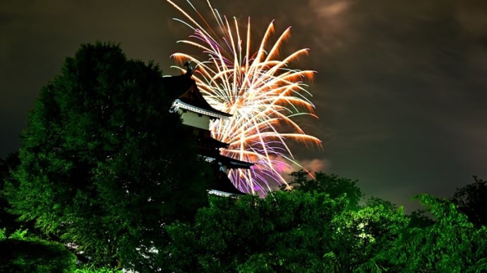 サマーナイト花火 高島城址公園
