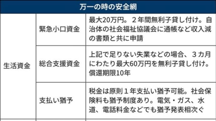 マスク2枚だけ配布は本当?政府の新型コロナウイルス感染症対策について