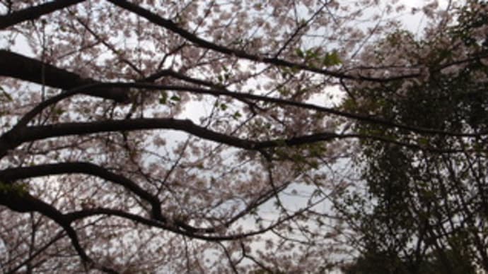 原付一人旅「思い出の箱根」二日目(その2)
