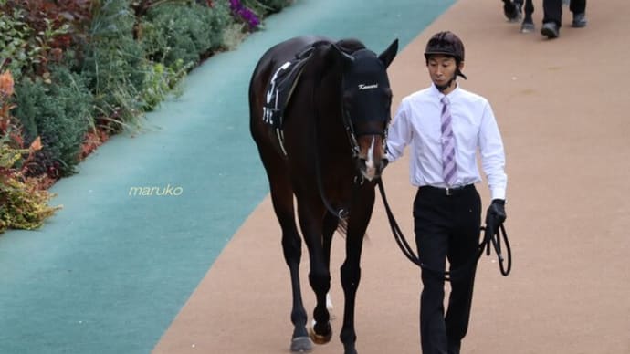 秋競馬もお付き合いくださいませ15