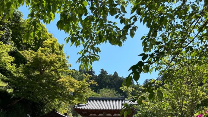 岡寺