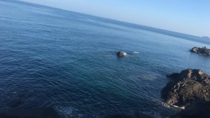 海についてのあれこれ。