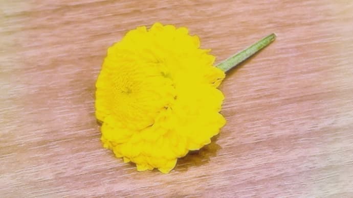 阿弥陀様の通る道に花を蒔く