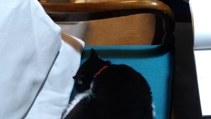 遅れましておめでとうございます