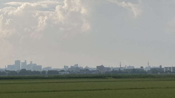 8月19日 おどげでねぐ暑い夏