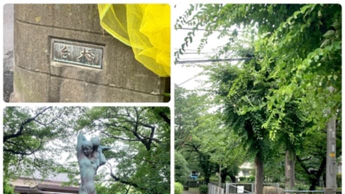見沼代用水東縁 台橋~見沼代親水公園駅まで