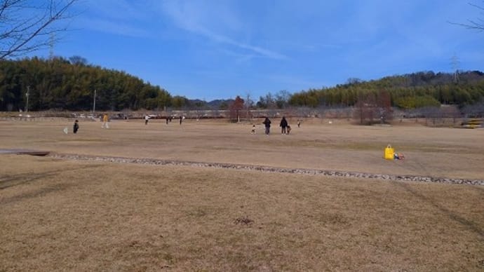 桜山公園 散歩 と 破磐神社 参拝