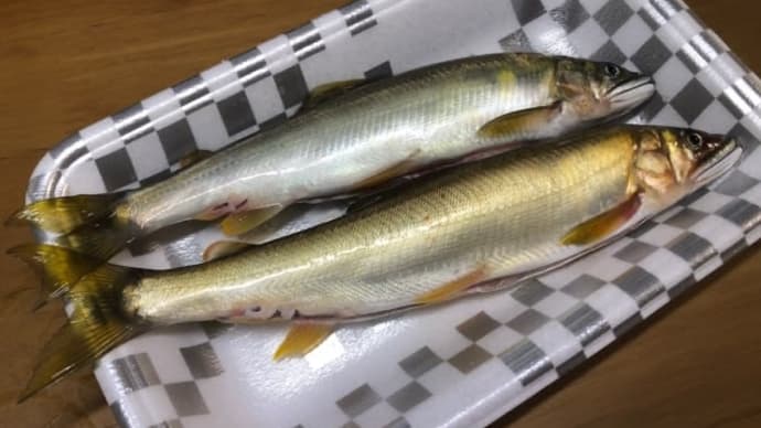 きれいな鮎と美味しい蕎麦
