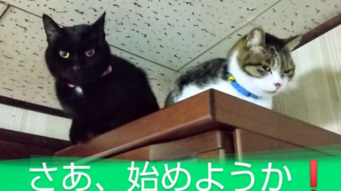 ホウ~~ら、金曜日クラス&大人クラス星(2月前半)だよ❗️