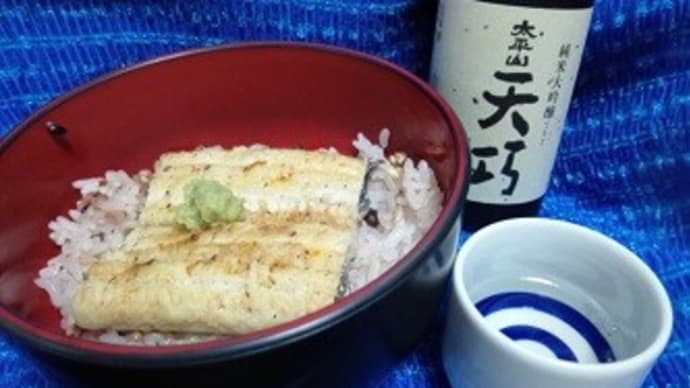 鰻白焼き＆小玉醸造／純米大吟醸、太平山天功の昼酌セット風にしてみたんだね：P