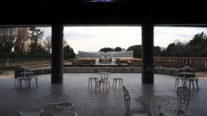 たまには大温室へも~神代植物公園⑥~