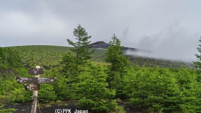 2020 7月の富士山南麓・霧ときどき雨