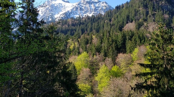 ドイツ旅行 四日目:ノイシュバンシュタイン城とアルプス山脈