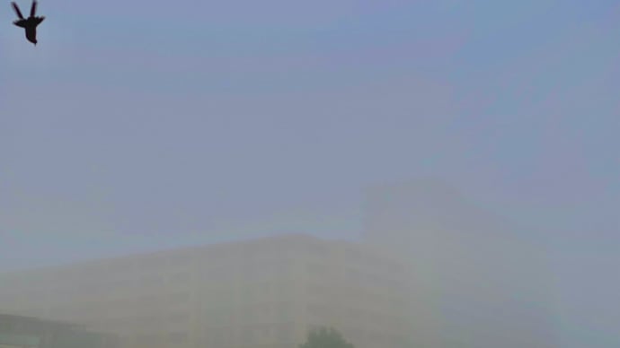 8月月末の朝は濃霧でした