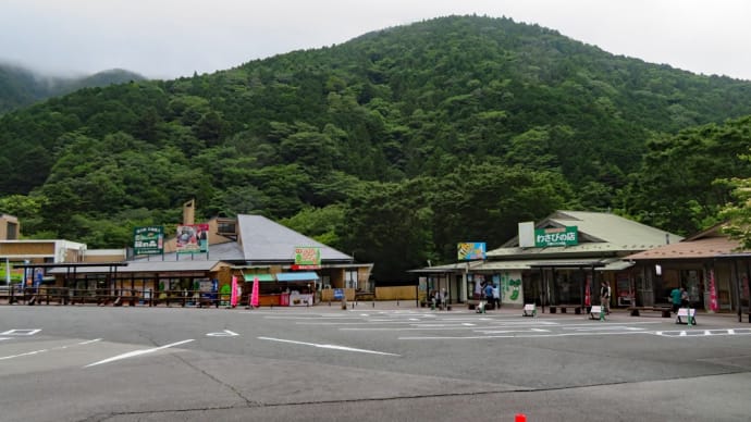 熱海・伊豆今井浜・修善寺 #3 道の駅、修善寺