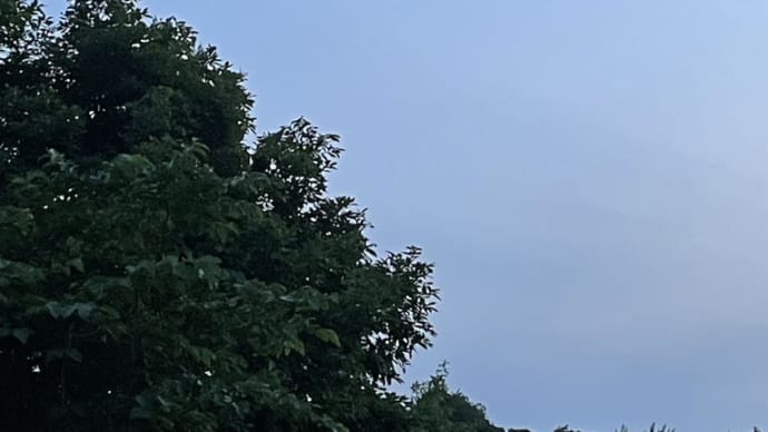 ◇ 夕暮れ散歩