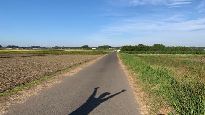 よく動いた一日