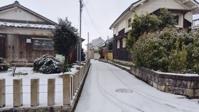 2025年1月8日、今朝の積雪状況