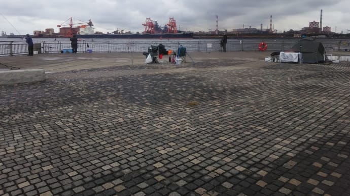 東扇島西公園釣り情報