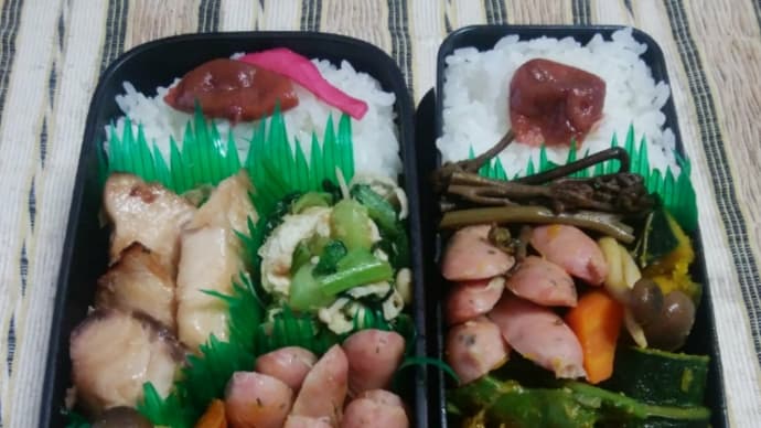 今日の弁当