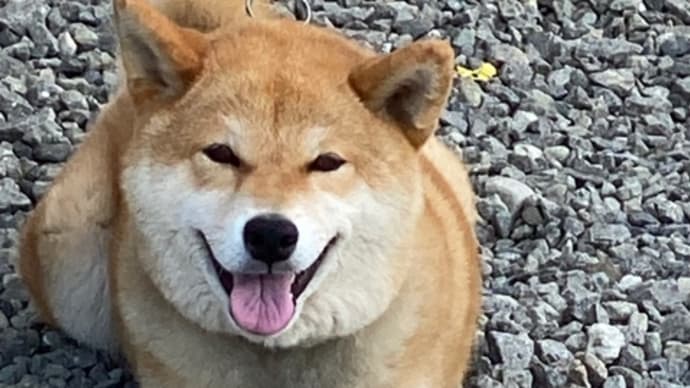 毎年のお出迎え