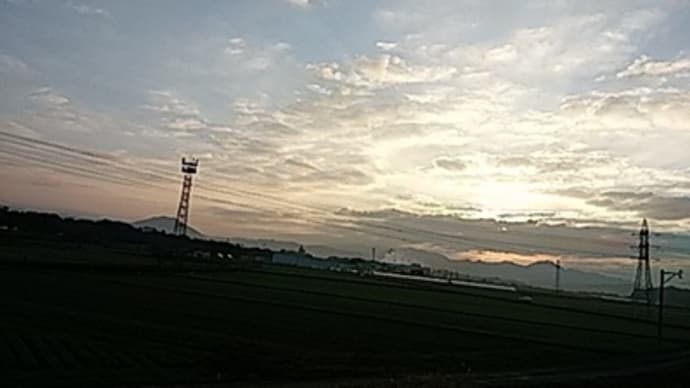 二酸化炭素&スノードロップ
