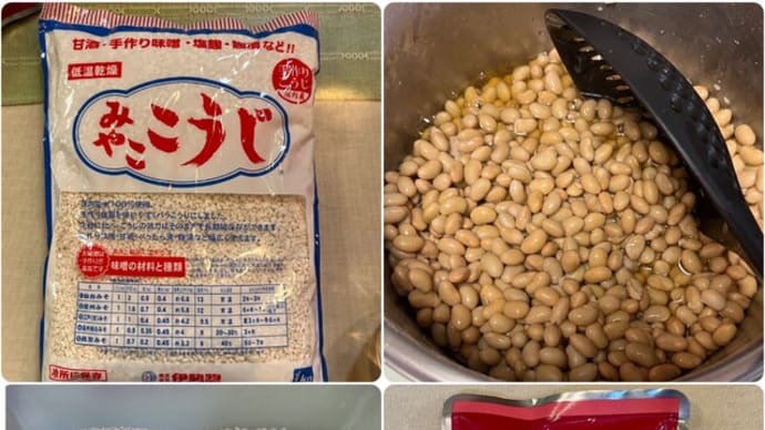 今年も “味噌造り” をしました〜麹の力ってすごい!もっと食育に生かせたらと思います。