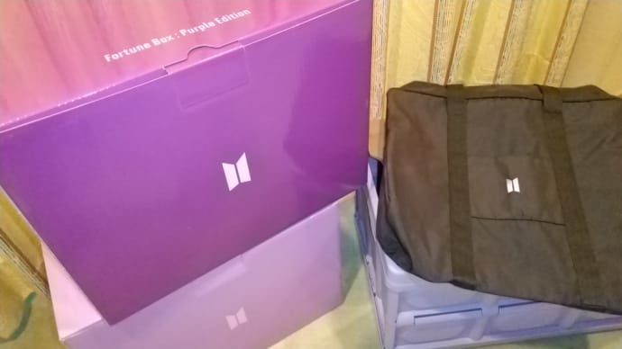フォーチュンボックス、元旦に来た❗