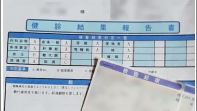 今年の検診結果