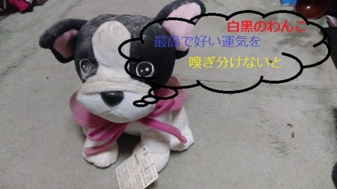 『白と黒のワンちゃん』