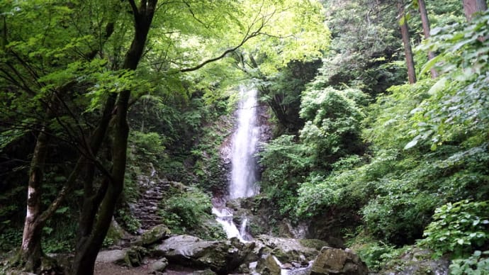 久々に払沢の滝