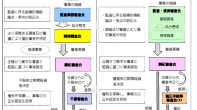 個別事案審査制度の活動概要（2019年度）の公表について（日本公認会計士協会）