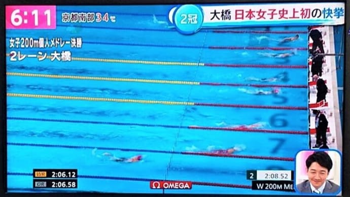 泳げるようになった日
