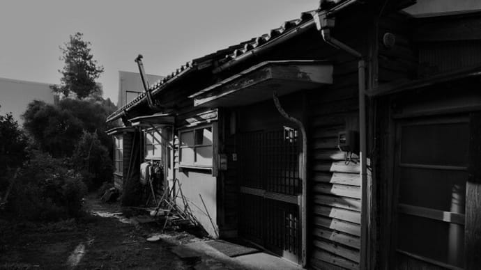 monotone Journey 10(+1).