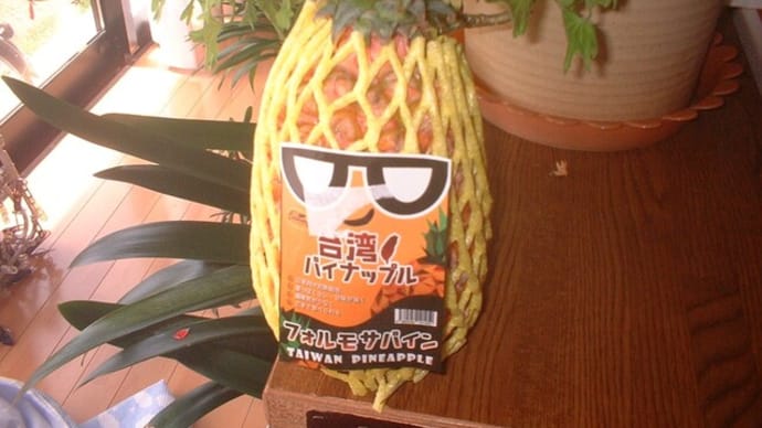 台湾産パイナップルを買って食べました❕