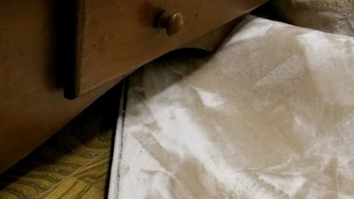 部屋の模様替えで