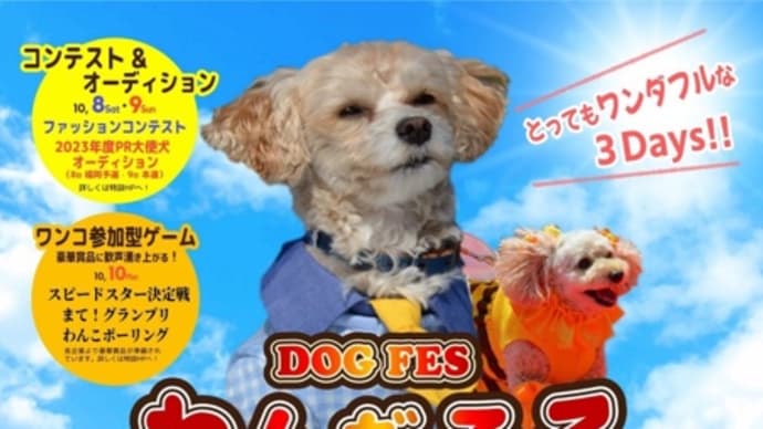 来週末です！九州最大級の犬フェス