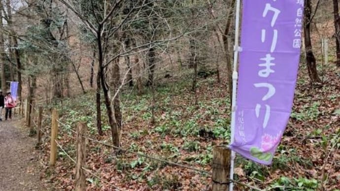 カタクリまつり&太田宿中山道会館