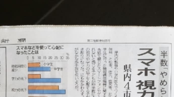 多機能携帯電話と言うものがスマートホンな訳で…