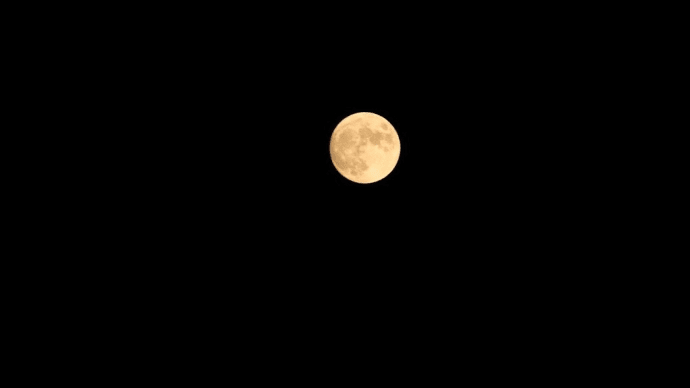 家呑み：今夜は月が綺麗ですね