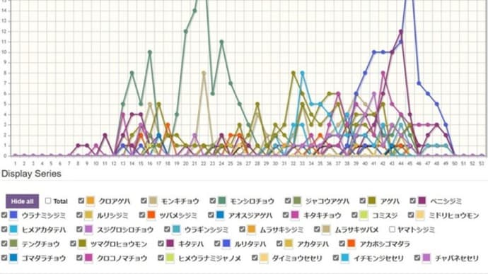 【蝶雑記】2023トランセクト調査まとめ