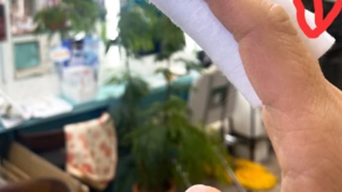今日から出来る♪スキンケアで幸せホルモンアップ↑