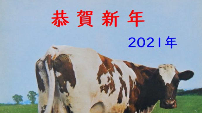 元旦