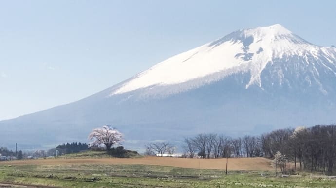 魚も岩手山を登る