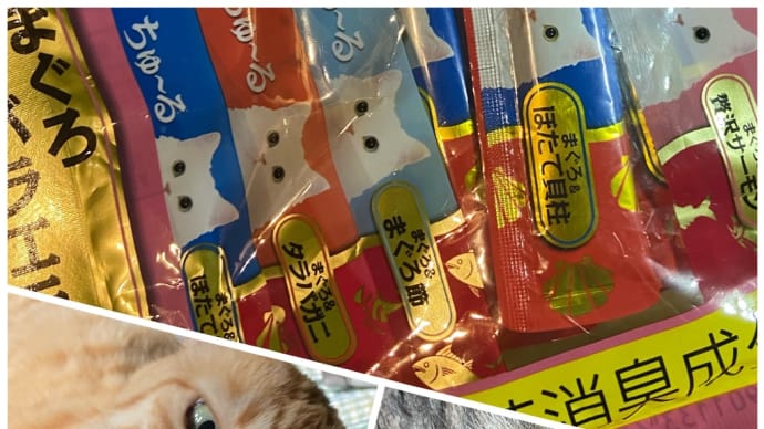 全ニャンコにちゅーる🎵🎵🎵