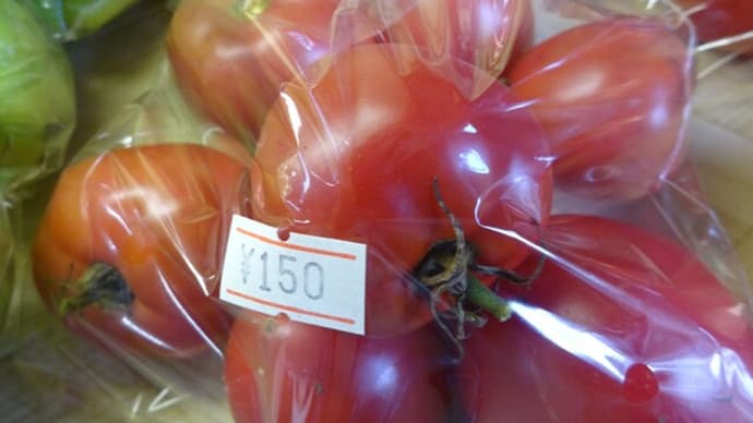 相模原産～ハウス栽培トマト　　特売　　タカギの畑直売所