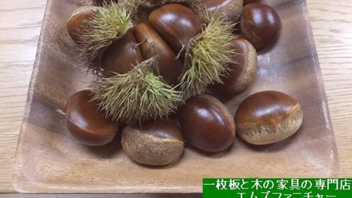 1692、今日は、台風一過。 心地よい風。 秋を感じる栗拾い。 一枚板と木の家具の専門店エムズファニチャーです。
